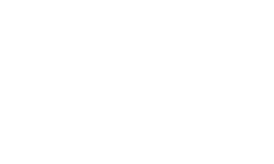 misr2000 logo